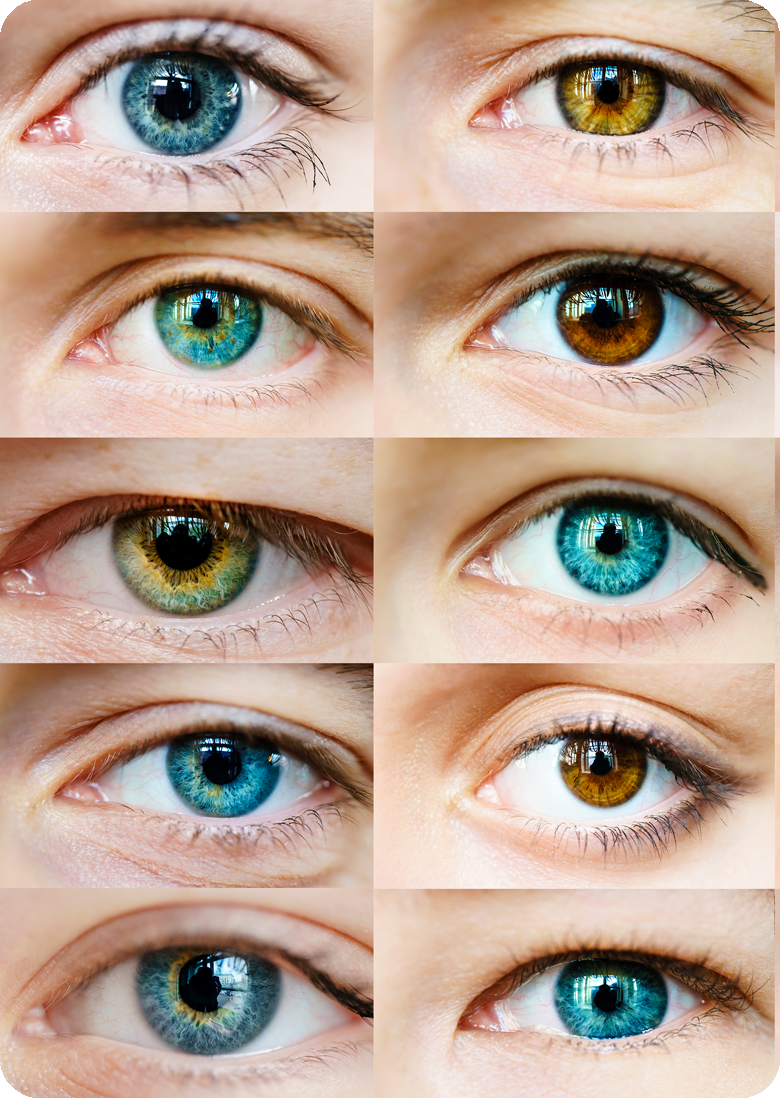 EYES COLLAGE